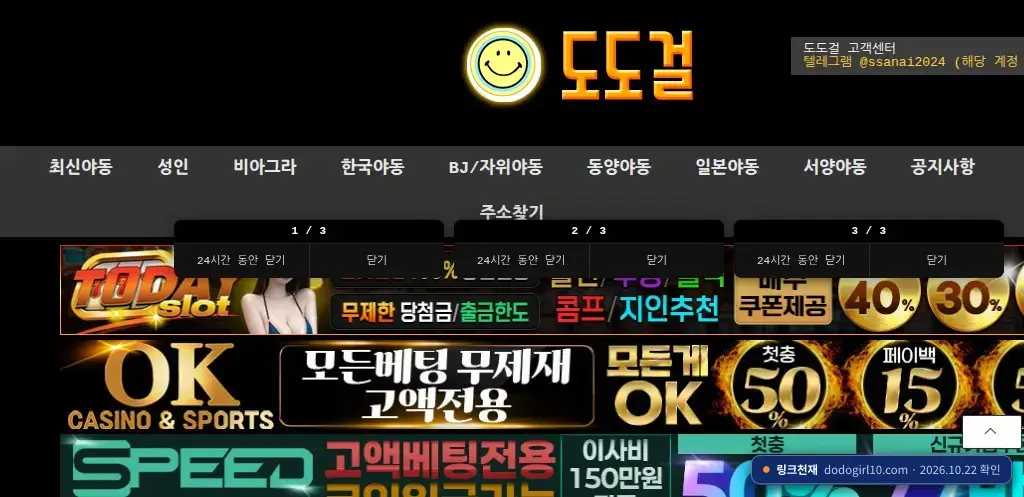 도도걸(dodogirl10.com) 접속 화면