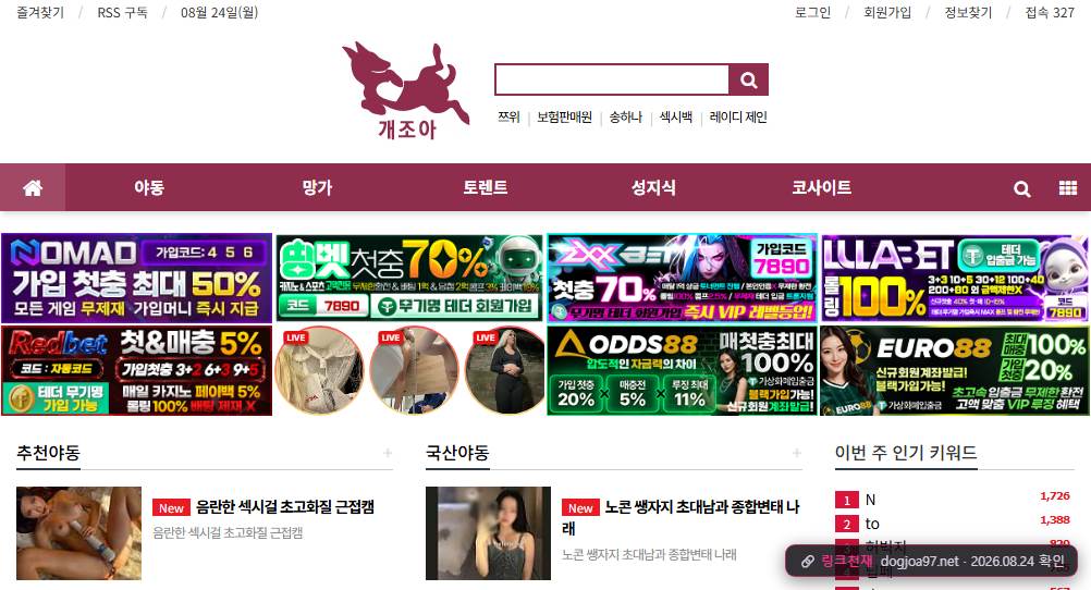 개조아(dogjoa97.net) 접속 화면