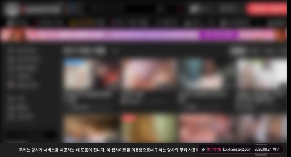 XHAMSTER(ko.xhamster2.com) 접속 화면