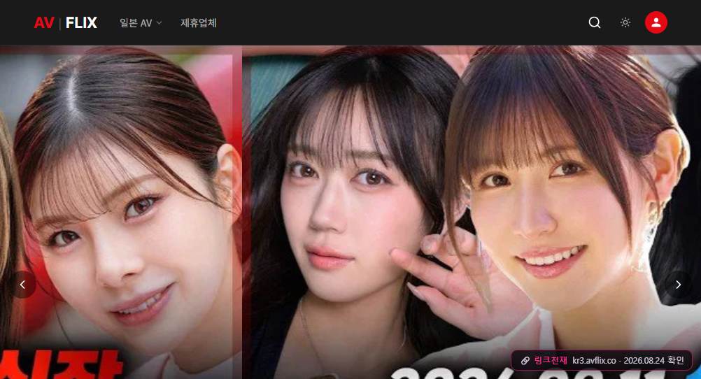 AV플릭스(kr3.avflix.co) 접속 화면