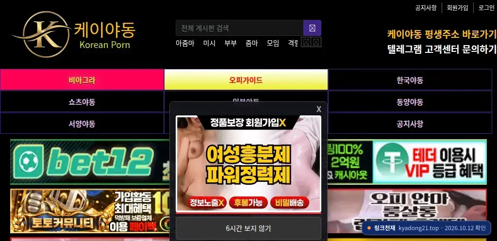 케이야동(kyadong21.top) 접속 화면