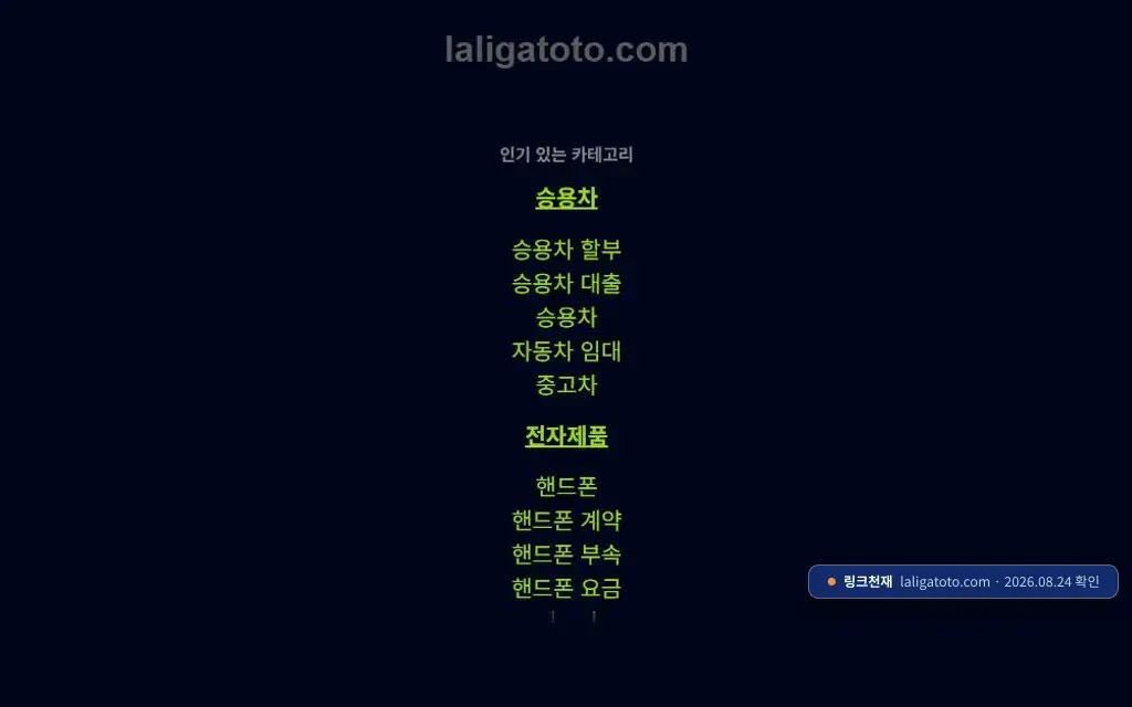 라리가 접속 화면