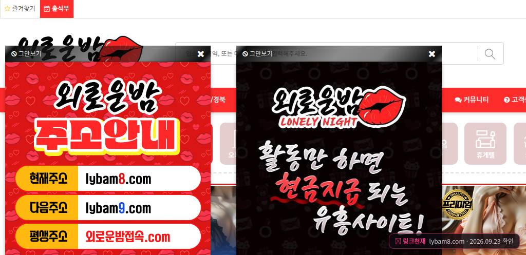 외로운밤(lybam8.com) 접속 화면