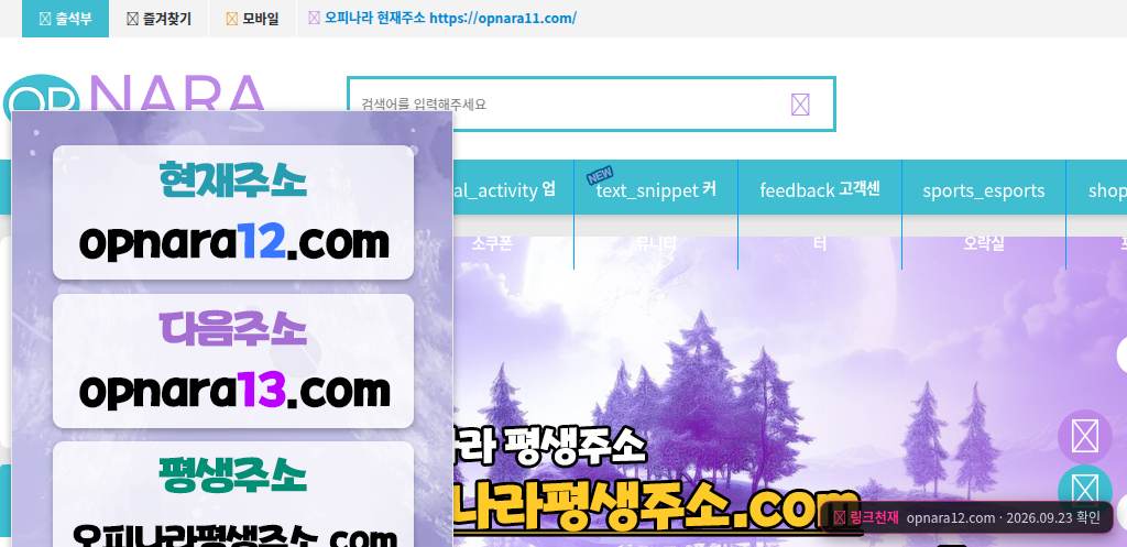 오피나라(opnara12.com) 접속 화면