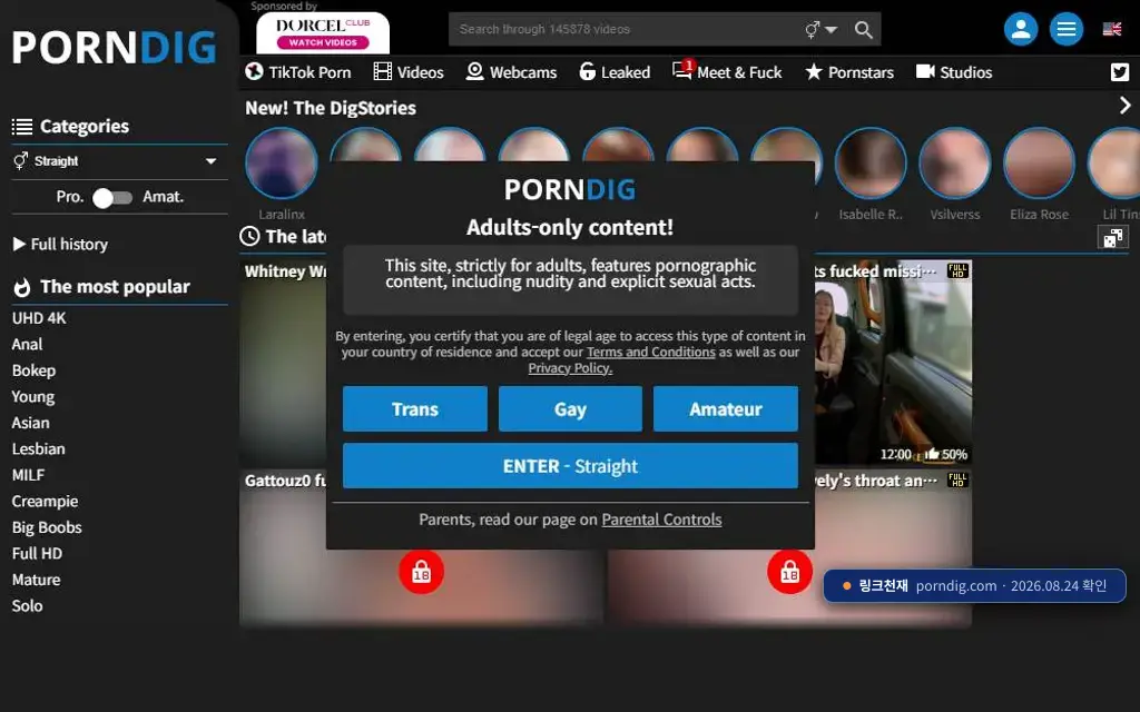 PORNDIG(porndig.com) 접속 화면