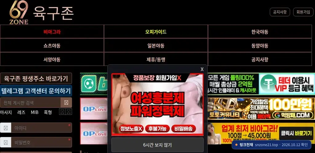 육구존(snzone21.top) 접속 화면