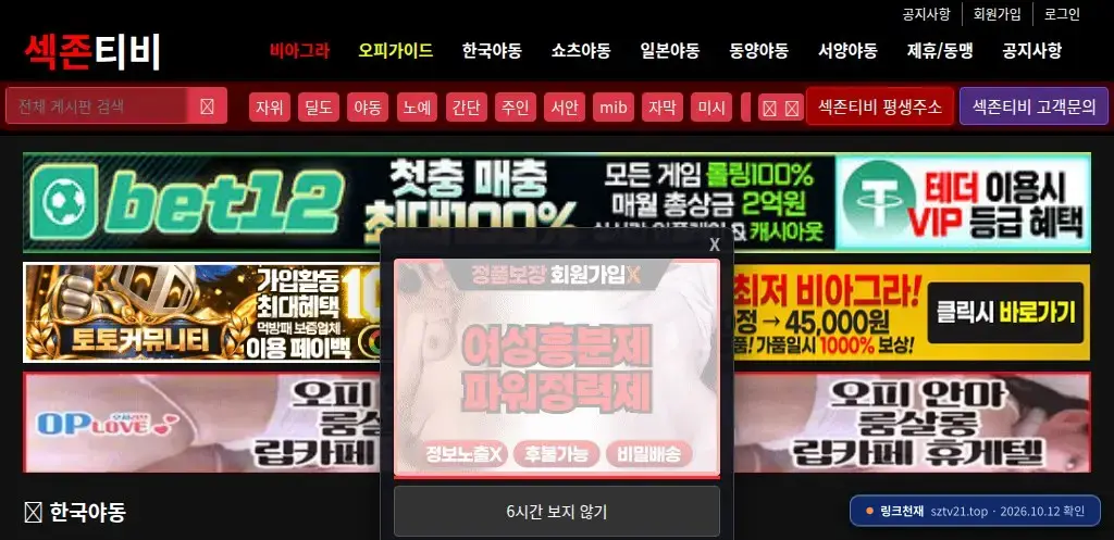 섹존티비(sztv21.top) 접속 화면